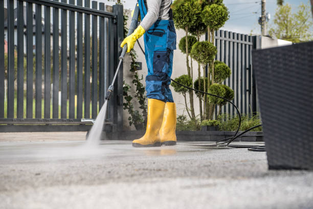 Best Roof Washing  in Lockport, IL