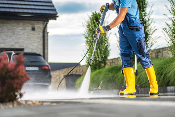 Best Driveway Pressure Washing  in Lockport, IL